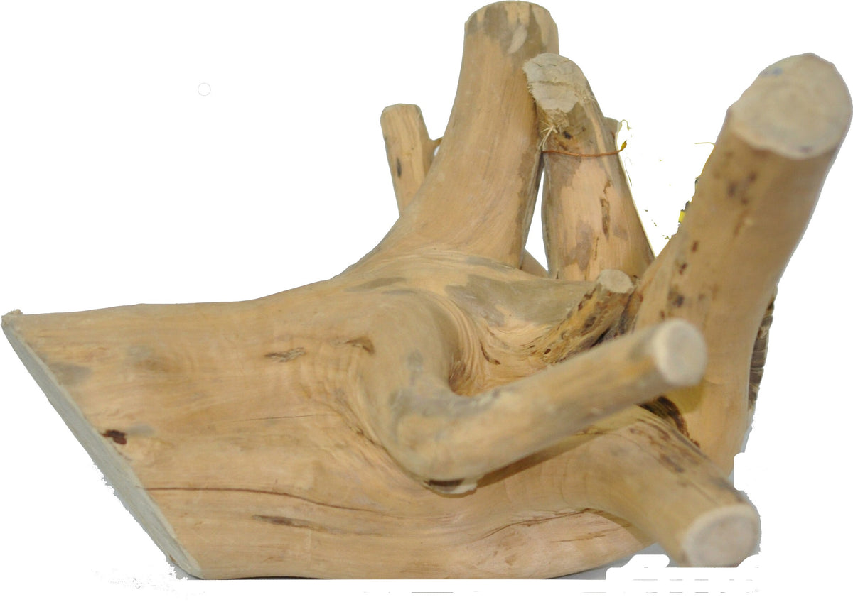 A&E Small Java Wood Reptile Branch