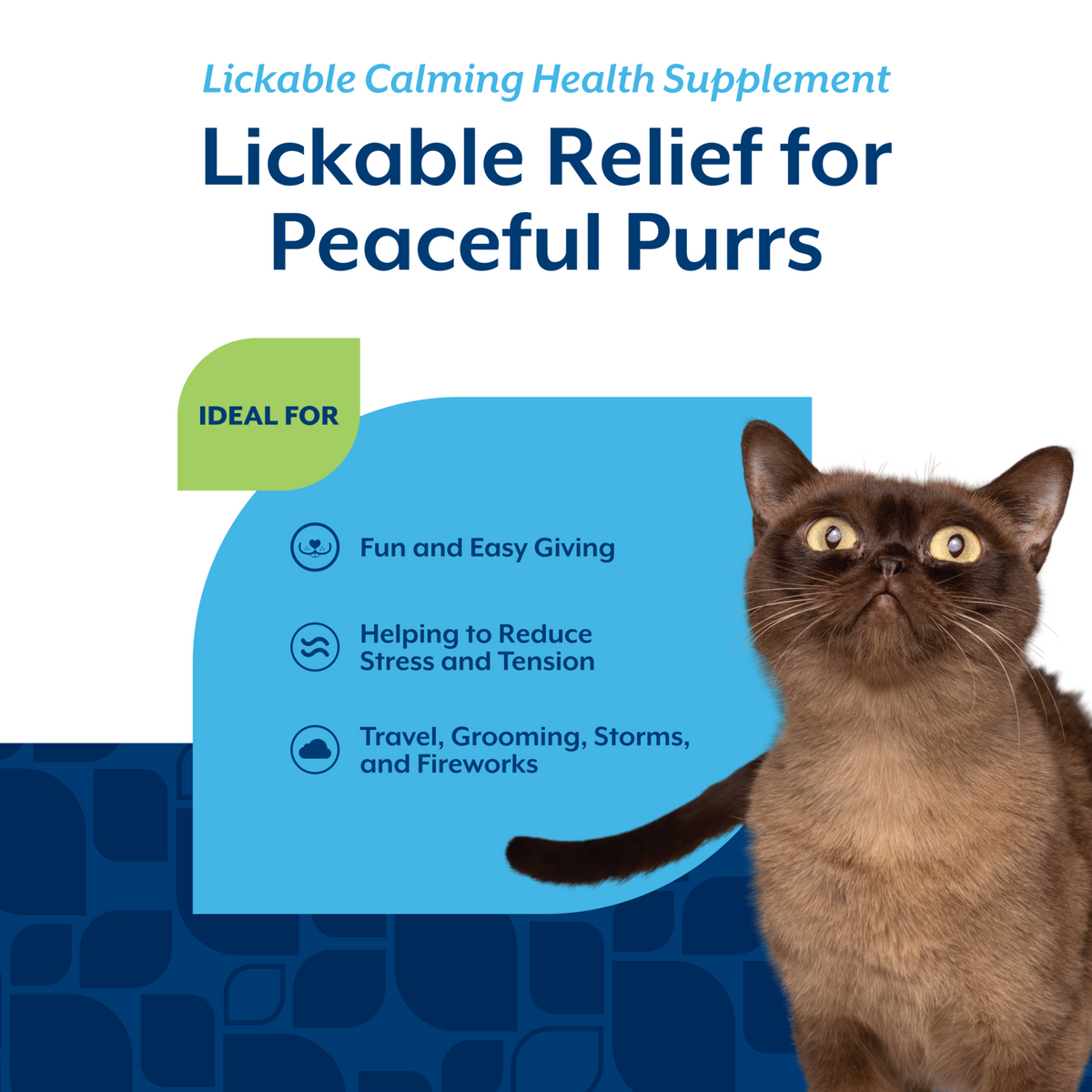 Naturvet Lickable Quiet Moments Calming Supplement for Cats 3 oz