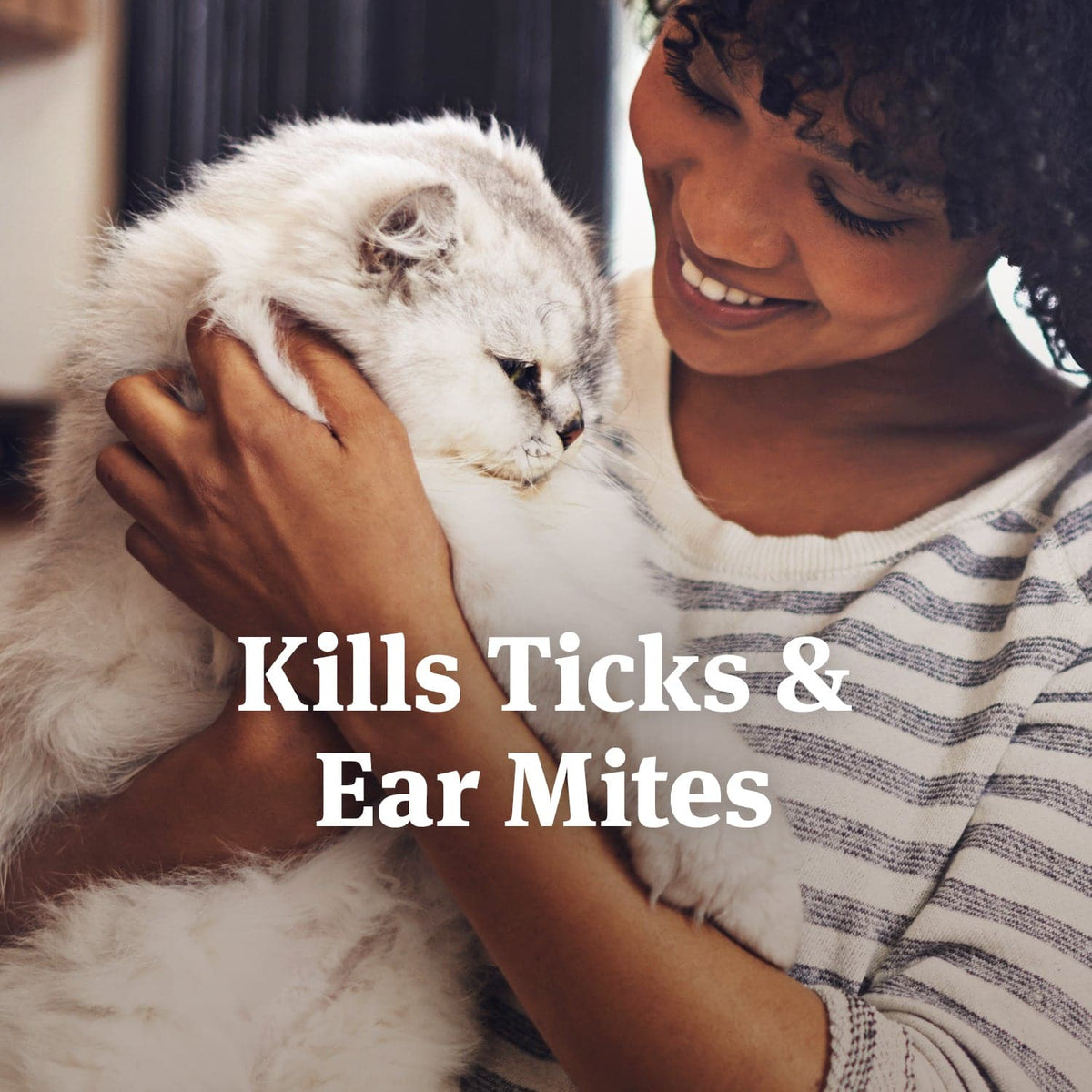 Petarmor Ear Mite & Tick Treatment for Cats 3 oz