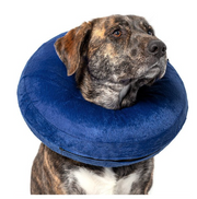 Calm Paws Basic Inflatable Recovery Dog Collar