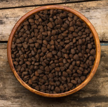 Earthborn Holistic Venture Limited Ingredient Rabbit Meal & Pumpkin Grain-Free Dry Dog Food