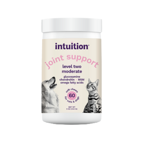 Intuition Soft Chews Level 2 Joint Supplement for Dogs & Cats 60 ct