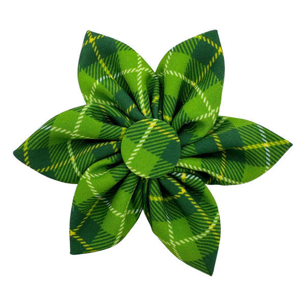 Huxley & Kent St. Patrick's Day Irish Plaid Pinwheel Pet Collar Accessory