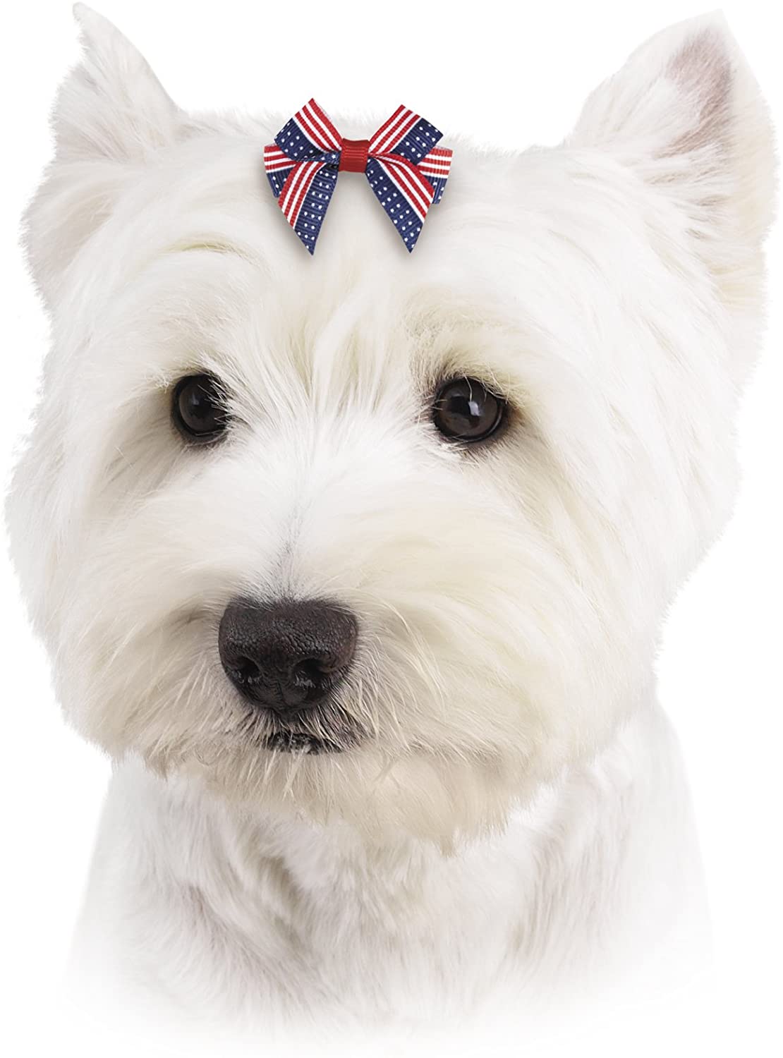 Aria Americana Pup Bow