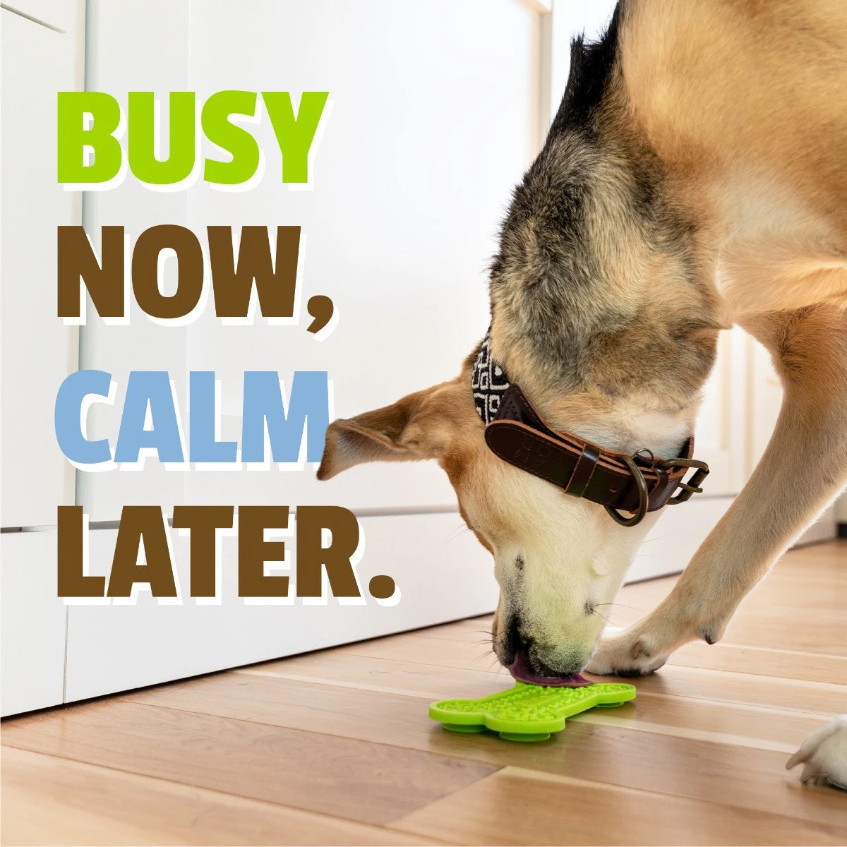 Pet Naturals BusyButter Calm & Busy Pack Enrichment Kit for Dogs