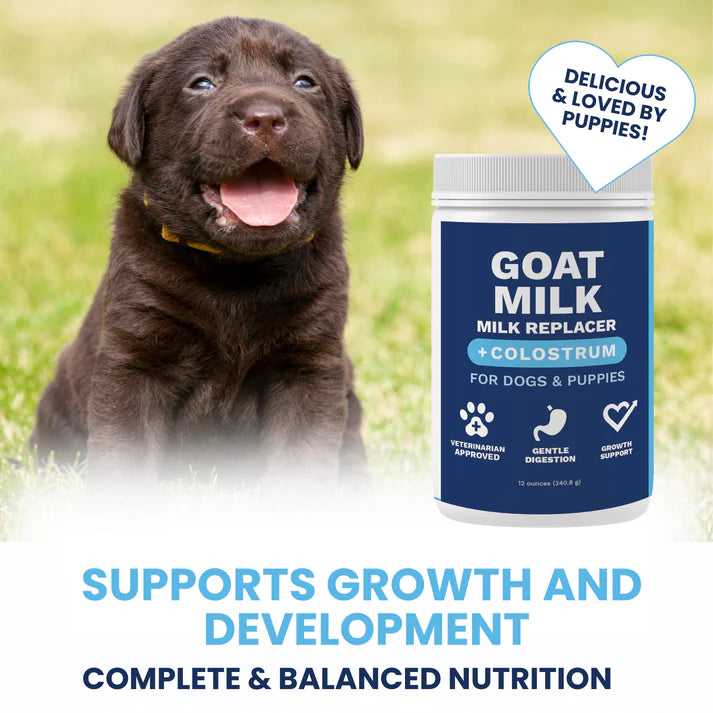 Under The Weather Goat Milk - Milk Replacer + Colostrum for Dogs & Puppies 12 oz