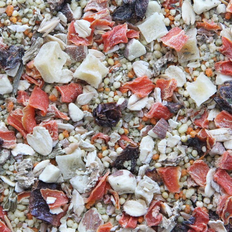 Higgins Worldly Cuisines Gourmet Tuscan Dream Gourmet Bird Food Appetizer 2 oz
