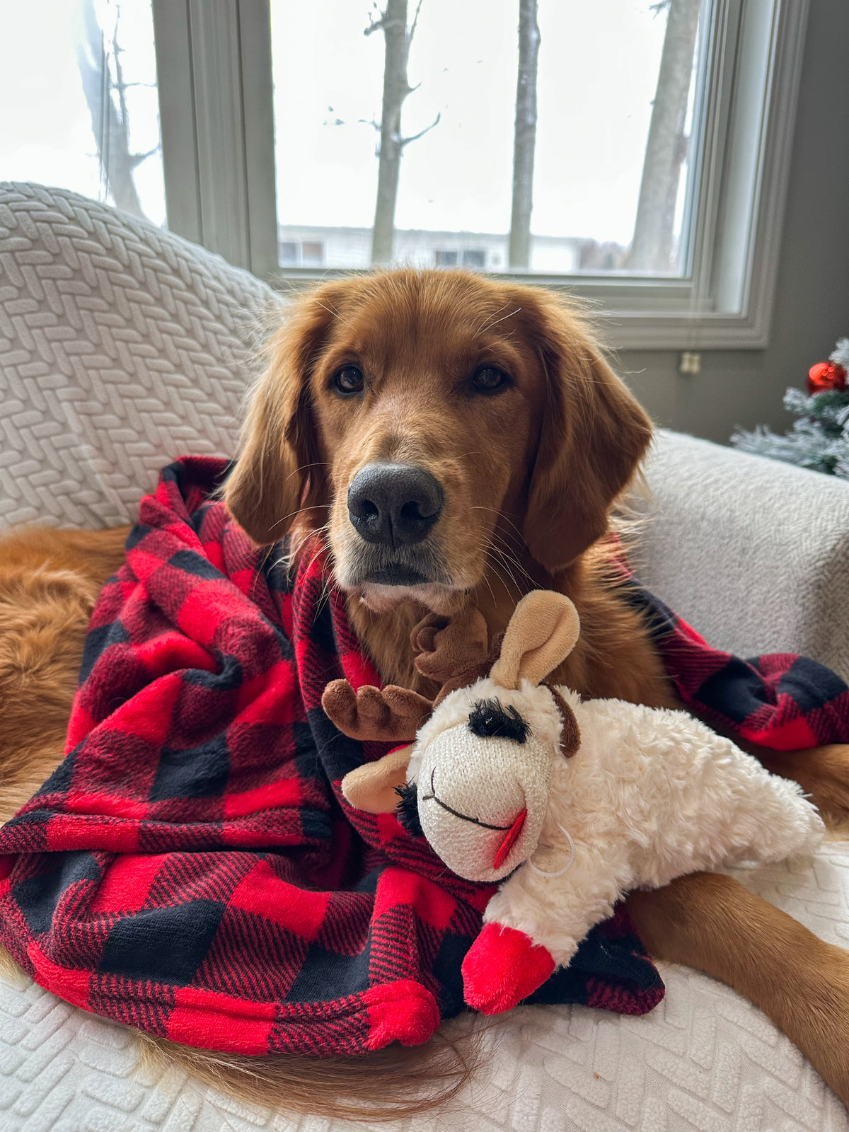 Multipet Holiday Lamb Chop with Antlers Plush Dog Toy 10.5 in