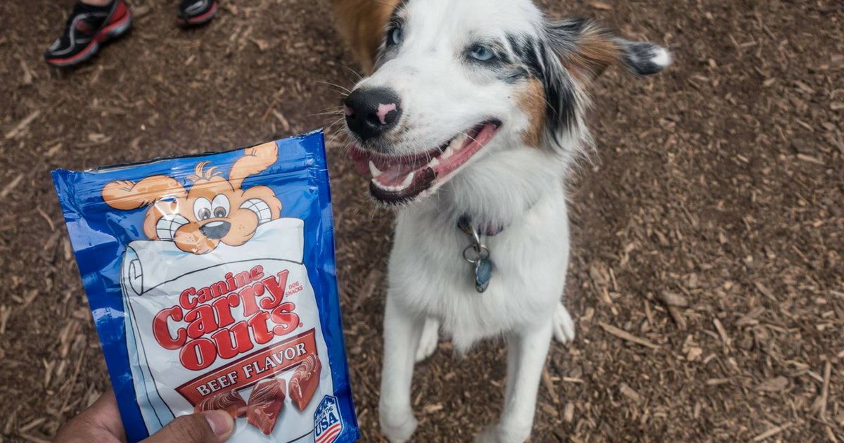 Canine Carry Outs Beef Flavor Dog Treats 22.5 oz