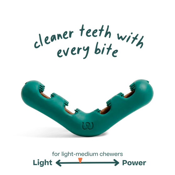 Woof The Bite n' Brush Refillable Dental Dog Chew