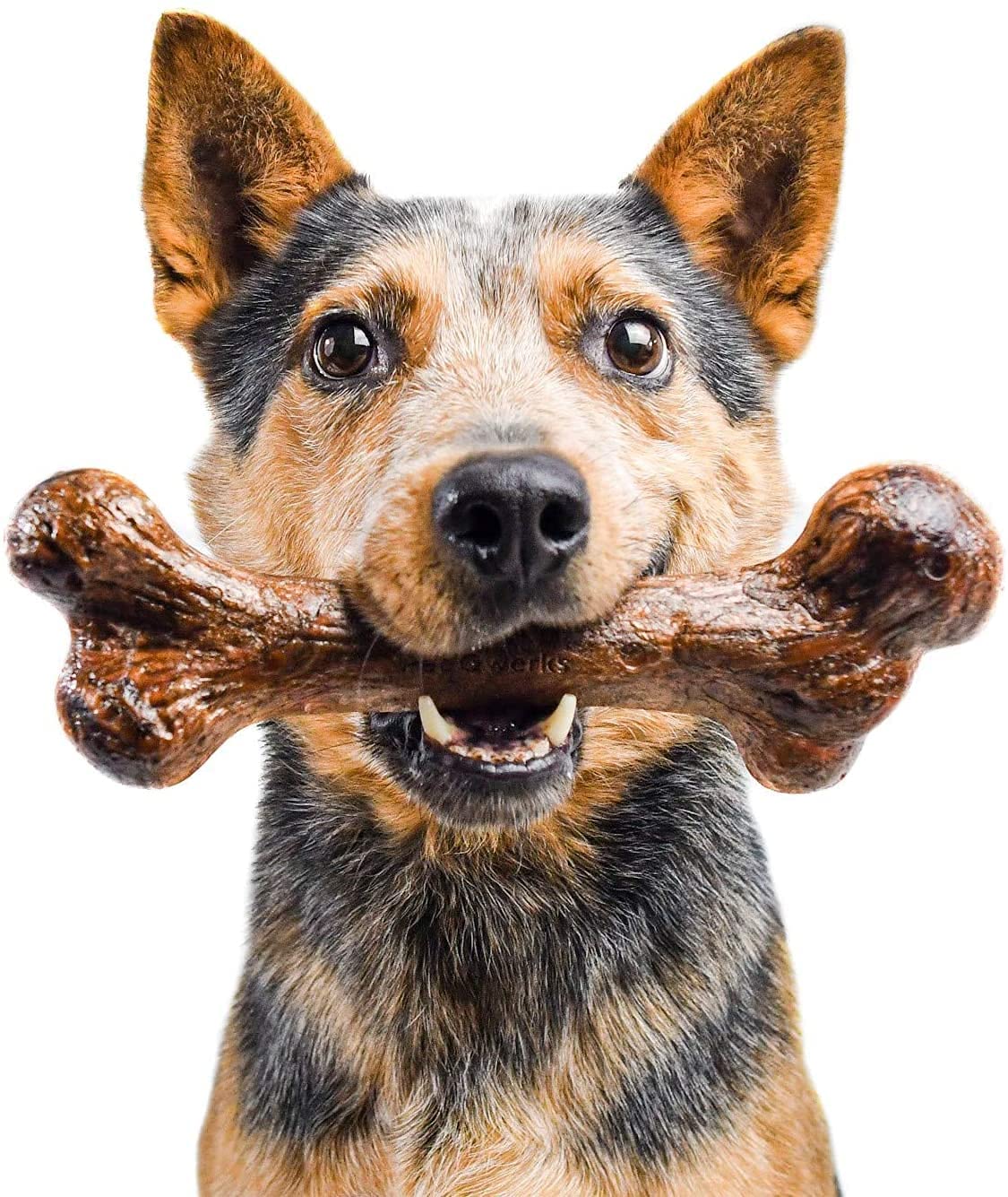 Pet Qwerks Extreme Steak Dinosaur BarkBone Nylon Dog Chew Toy