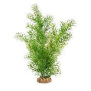 Fluval Green Limnophila Aquarium Plant 14 in
