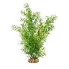 Fluval Green Limnophila Aquarium Plant 14 in