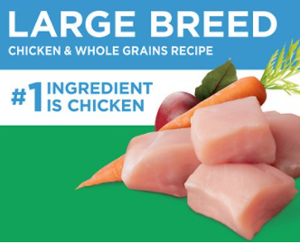 Iams Proactive Health Adult Large Breed Dry Dog Food