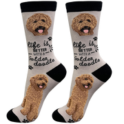 E & S Imports Life is Better With a Red Goldendoodle Socks