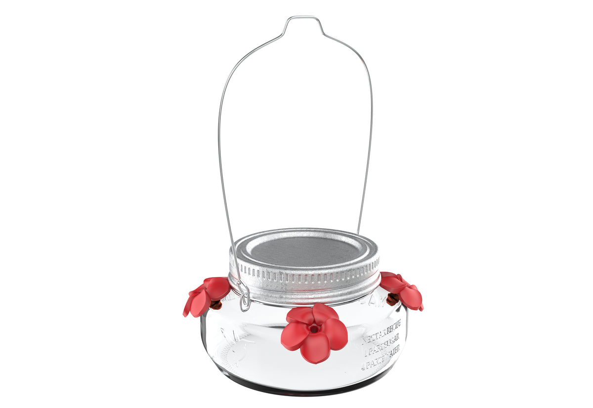 Nature's Way Clear Mason Jar Hummingbird Feeder 8 oz