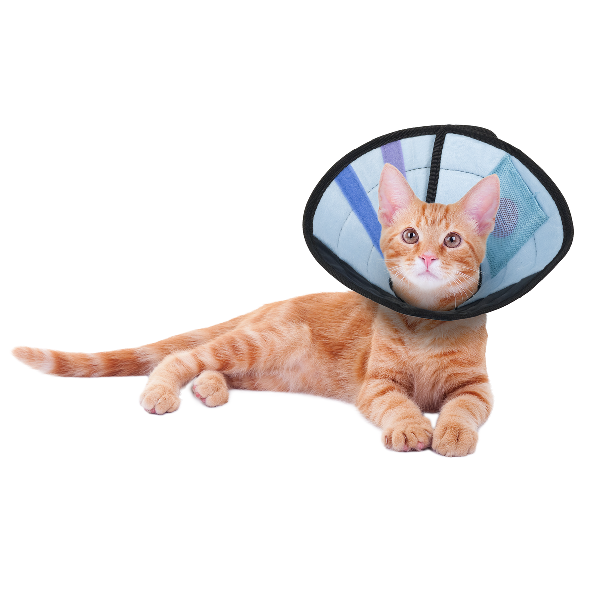 Calm Paws Soft Calming Recovery Cat E-Collar