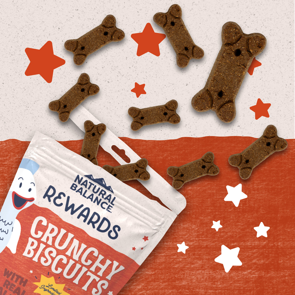 Natural Balance Rewards Limited Ingredient Crunchy Biscuits with Real Salmon Dog Treats 14 oz