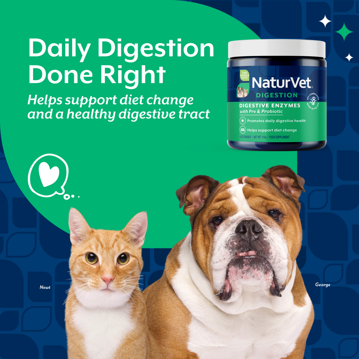 Naturvet Digestive Enzymes Plus Pre & Probiotic Dog & Cat Powder Supplement 4 oz
