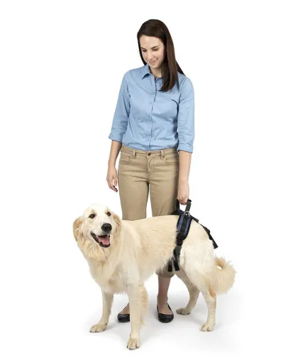PetSafe CareLift Rear Rear Support Harness for Dogs L