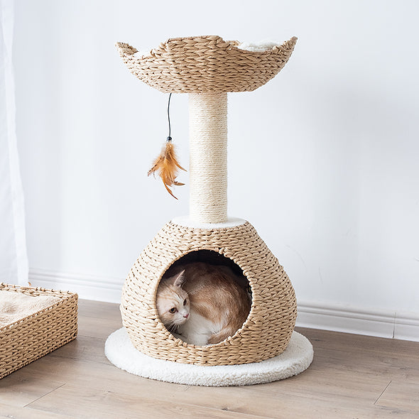 Petpals Group Walk Up Cat Tree