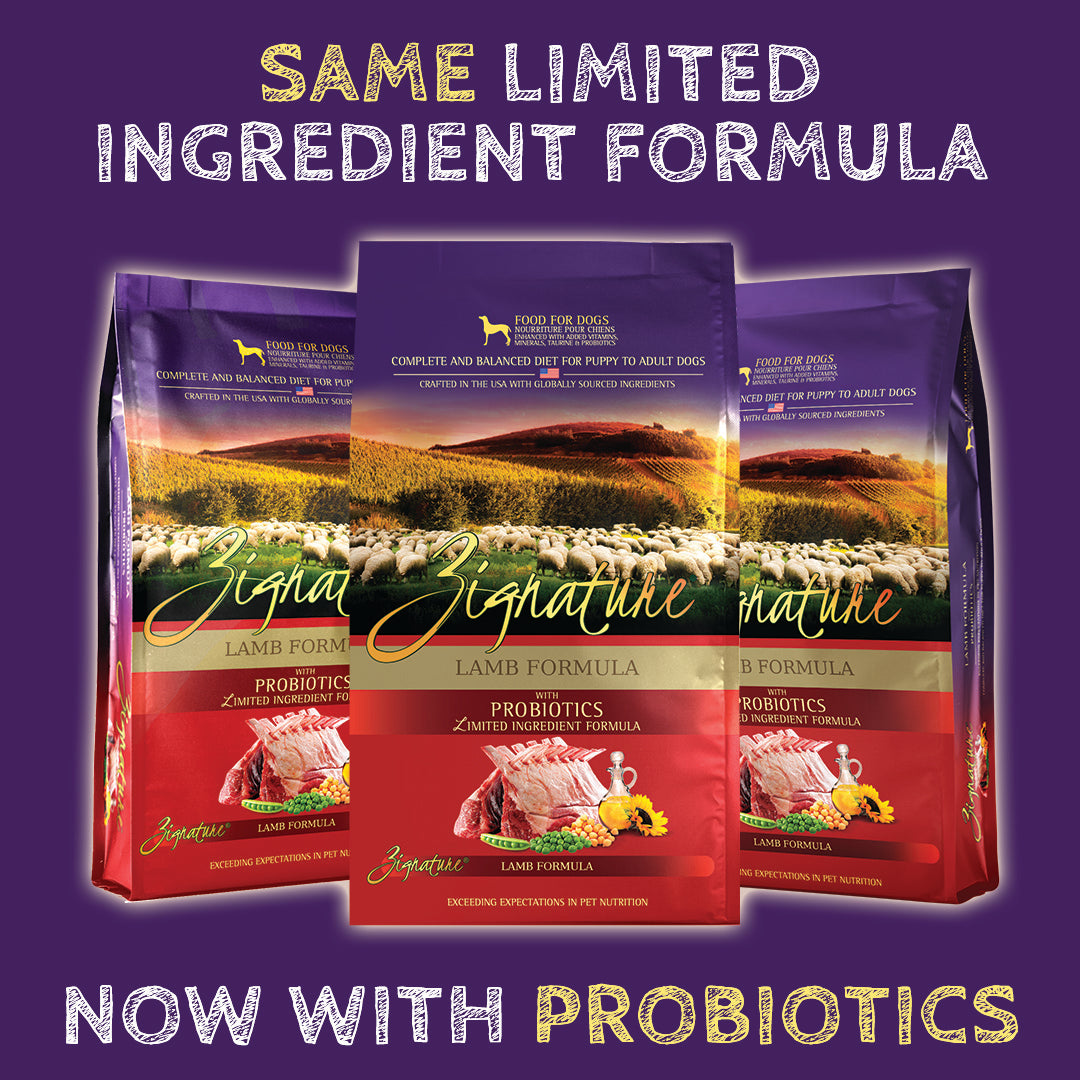 Zignature Lamb Limited Ingredient Formula Grain-Free Dry Dog Food