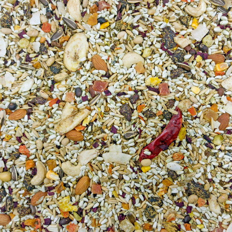 Higgins Mayan Harvest Tikal Diet for Parrots 3 lb