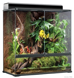 Exo Terra Glass Terrarium Reptile Habitat, 36"x18"x36"