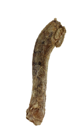 Vital Essentials Freeze-Dried Duck Neck