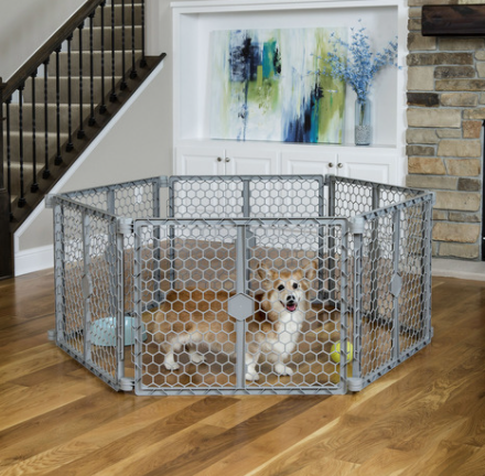 Carlson Pet Products 2-n-1 Plastic Gate and Pen