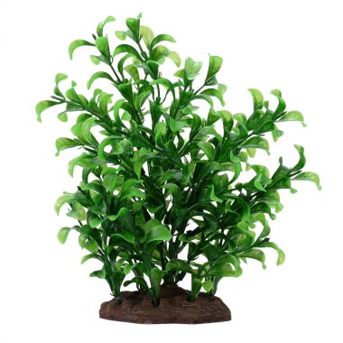 Fluval Bacopa Aquarium Plant 8 in