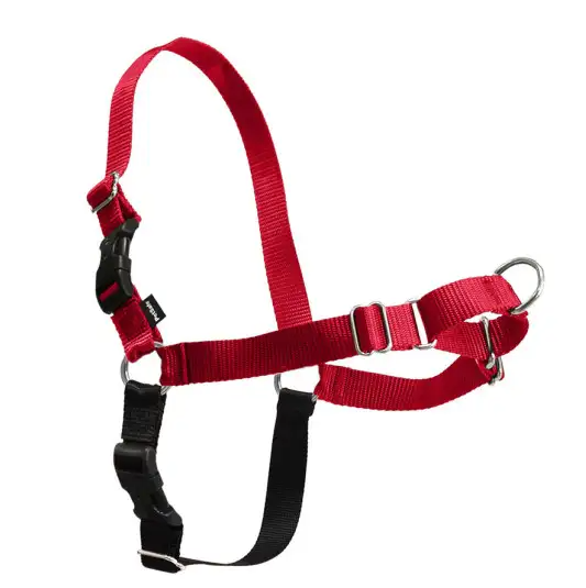 PetSafe Easy Walk No-Pull Harness for Dogs