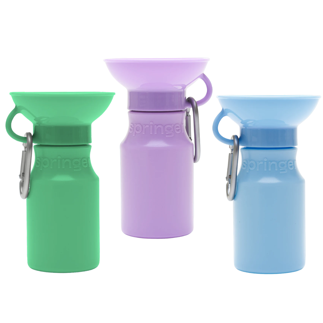 Springer Mini Dog Travel Water Bottle