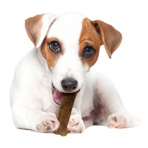 Nylabone Healthy Edibles Roast Beef Flavor Dog Bone Treat
