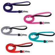 Coastal Pet Products Inspire Dog Leash
