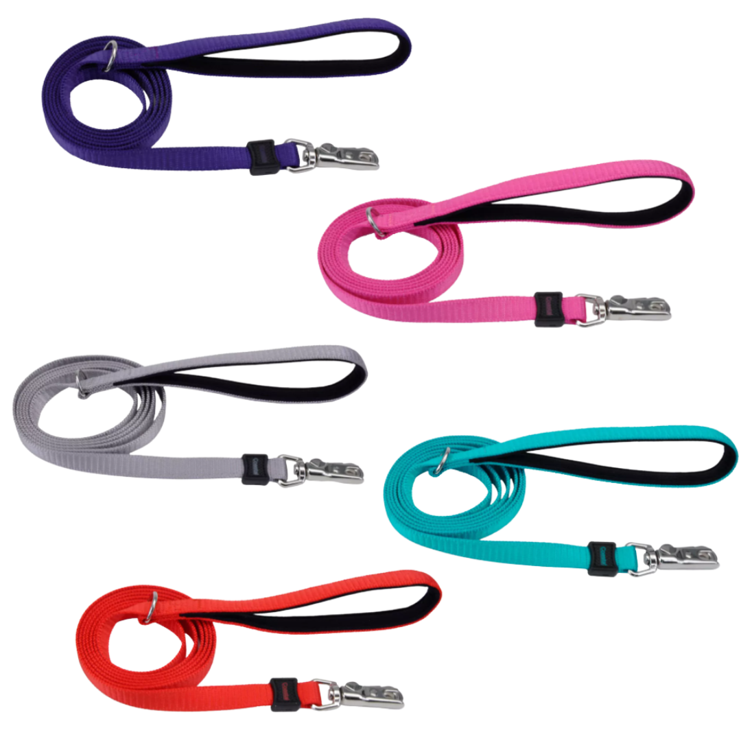 Coastal Pet Products Inspire Dog Leash