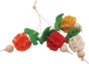 A&E Loofah Bunch of Fruits Small Animal Chew Toy