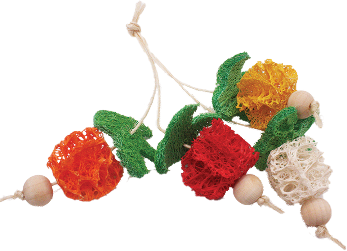 A&E Loofah Bunch of Fruits Small Animal Chew Toy