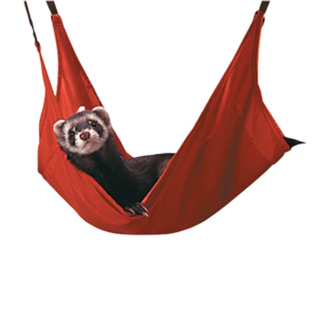 Marshall Leisure Lounge For Ferrets