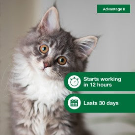 Advantage Topical Flea Treatment for Kittens 2 pk