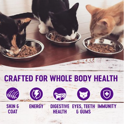 Wellness Gravies Salmon Entree In Ample Gravy Grain-Free Canned Cat Food