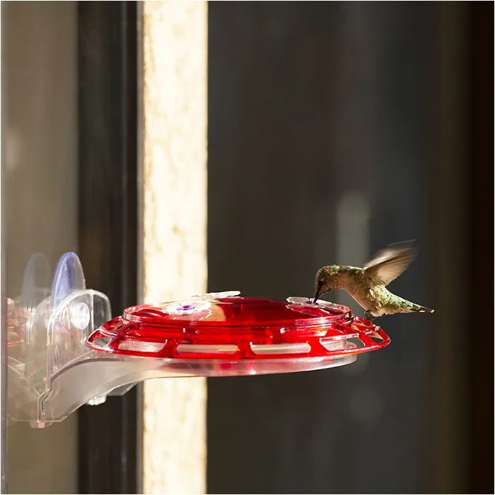 More Birds Bird Health 3-in-1 Hummingbird Feeder 6 oz