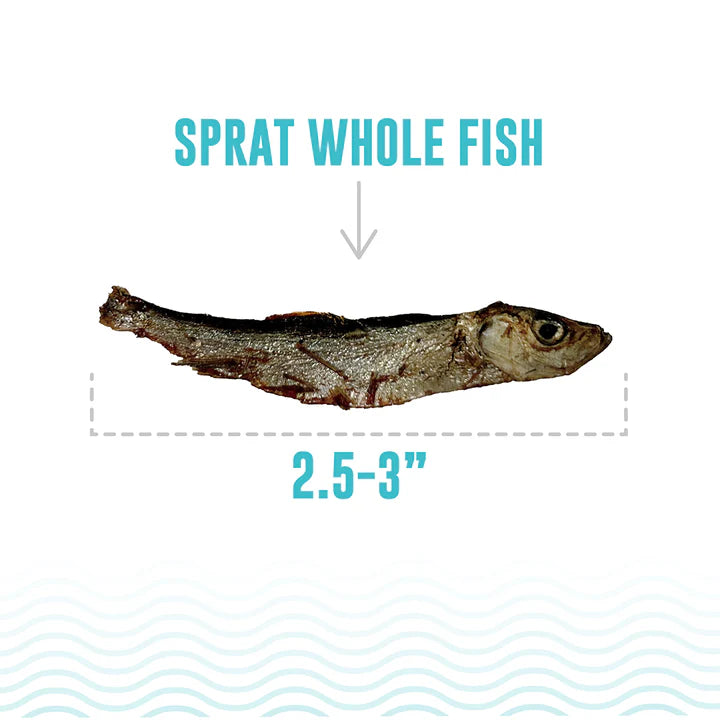 Icelandic+ Sprat Whole Fish Natural Cat Treats .85 oz