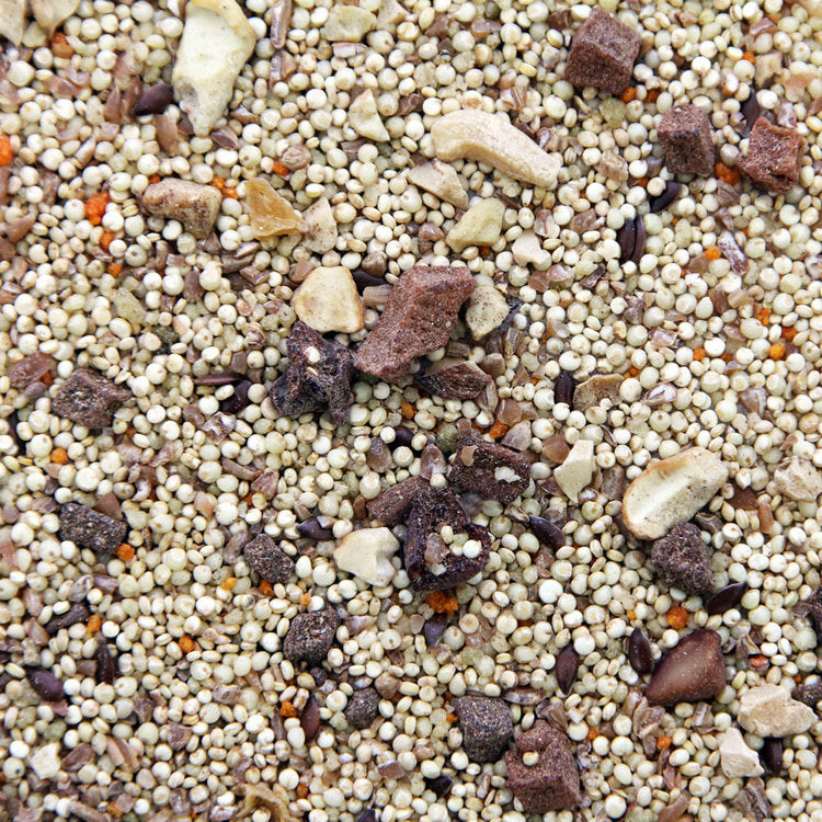 Higgins Worldly Cuisines Gourmet African Sunset Gourmet Bird Food Appetizer 2 oz