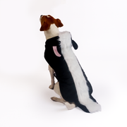 Silverpaw Halloween Skunk Pet Costume