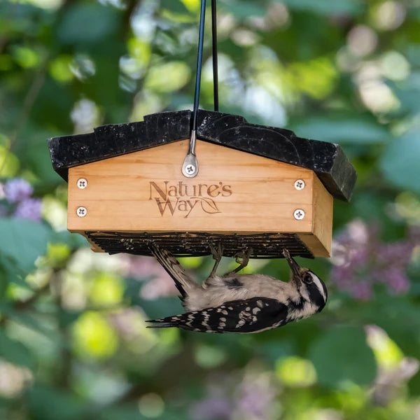 Nature's Way Upside-Down Cedar Suet Cake Wild Bird Feeder