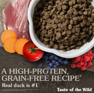 Taste Of The Wild Wetlands Grain-Free Dry Dog Food