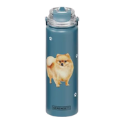 E & S Imports Serengeti Pomeranian Stainless Steel Water Bottle 24 oz