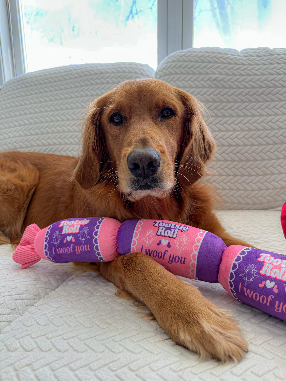 Charms Valentine's Day Jumbo Tootsie Roll Dog Toy
