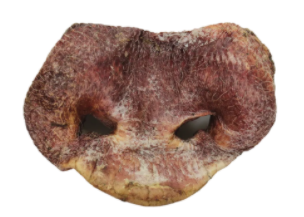 Vital Essentials Freeze-Dried Pig Snout